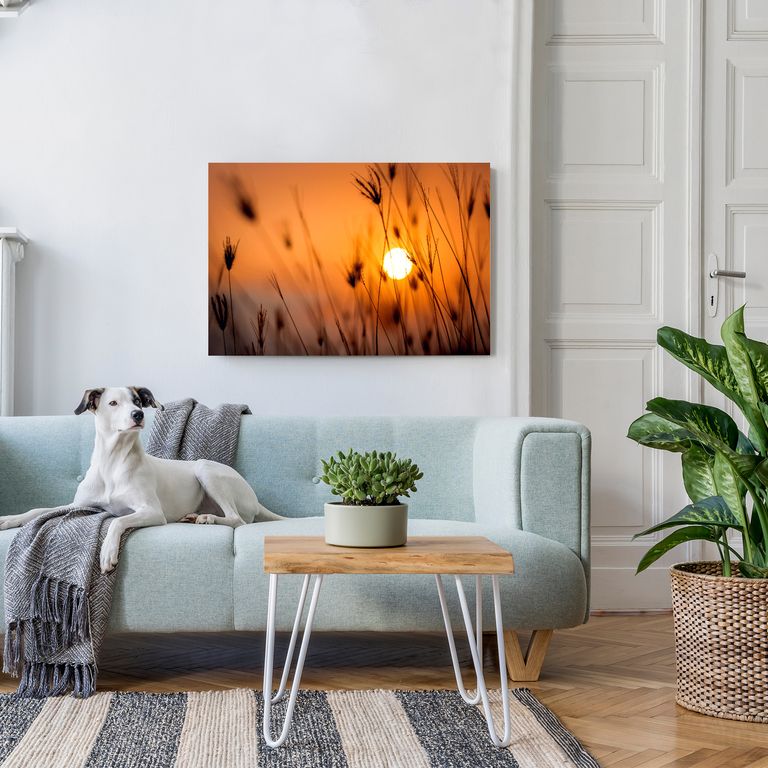 Bedrucktes Acrylglas als Magnetwand, Küchen-Hintergrund, Motiv Mond