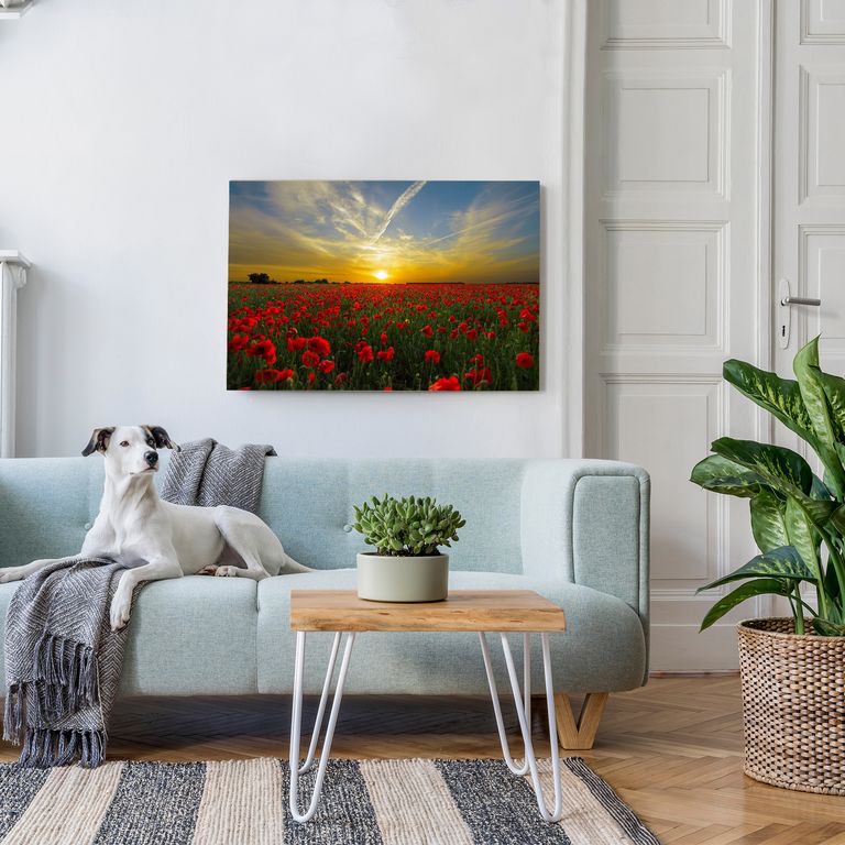 Bedrucktes Acrylglas als Magnetwand, Küchen-Hintergrund, Motiv Sonnenuntergang