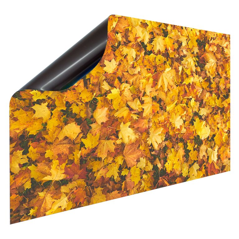 Magnet Heizkörperverkleidung Heizkörperabdeckung Heizung Schutz Motiv Herbst-Laub