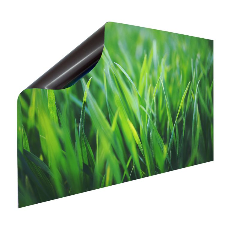 Magnet Heizkörperverkleidung Heizkörperabdeckung Heizung Schutz Motiv Gras