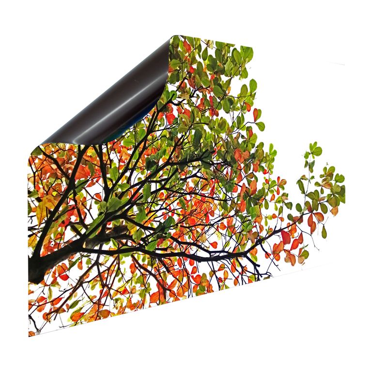 Magnet Heizkörperverkleidung Heizkörperabdeckung Heizung -Motiv Der Herbst kommt