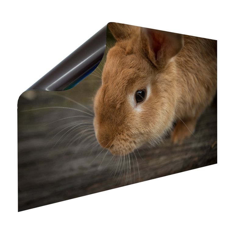 Magnet Heizkörperverkleidung Heizkörperabdeckung Heizung Motiv Kaninchen