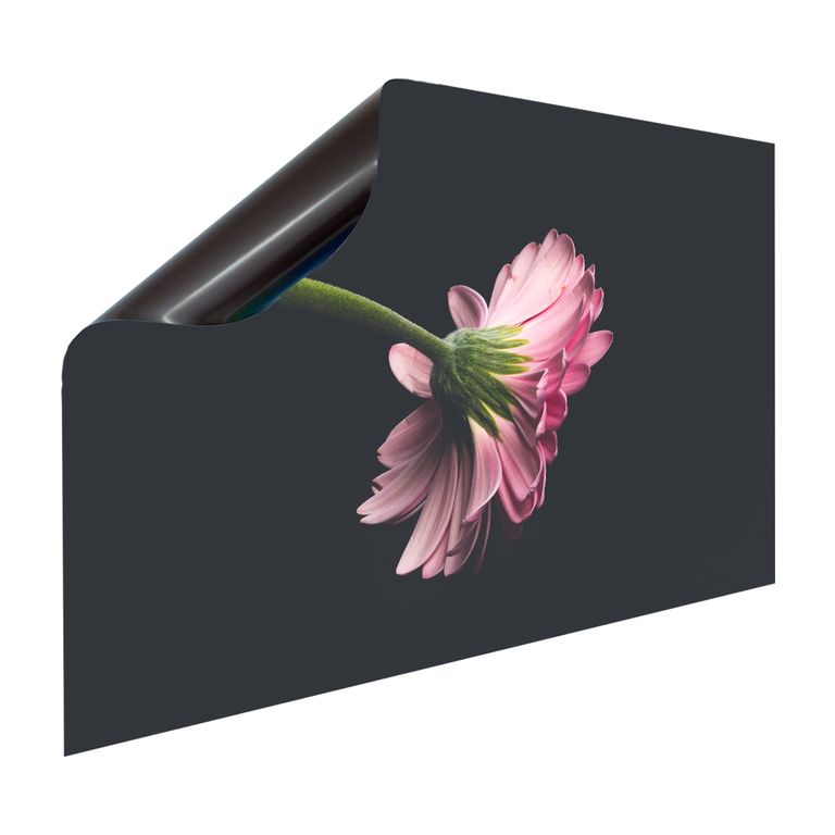 Magnet Heizkörperverkleidung Heizkörperabdeckung Heizkörper - Motiv Verwünscht