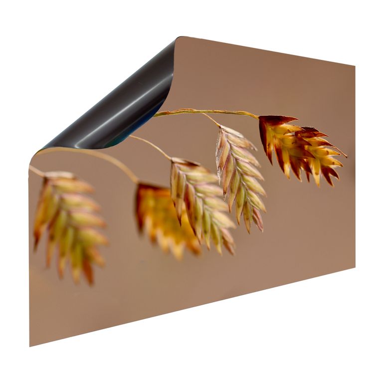 Magnet Heizkörperverkleidung Heizkörperabdeckung Heizung Motiv Herbsttraum