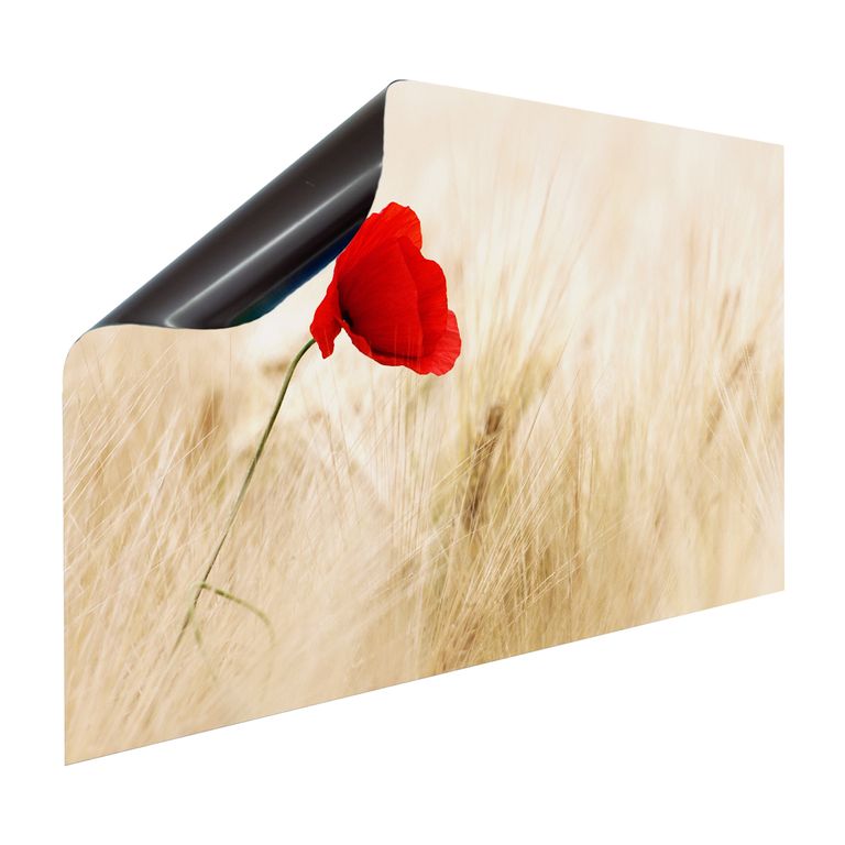 Magnet Heizkörperverkleidung Heizkörperabdeckung Heizung Schutz Motiv Mohnblume