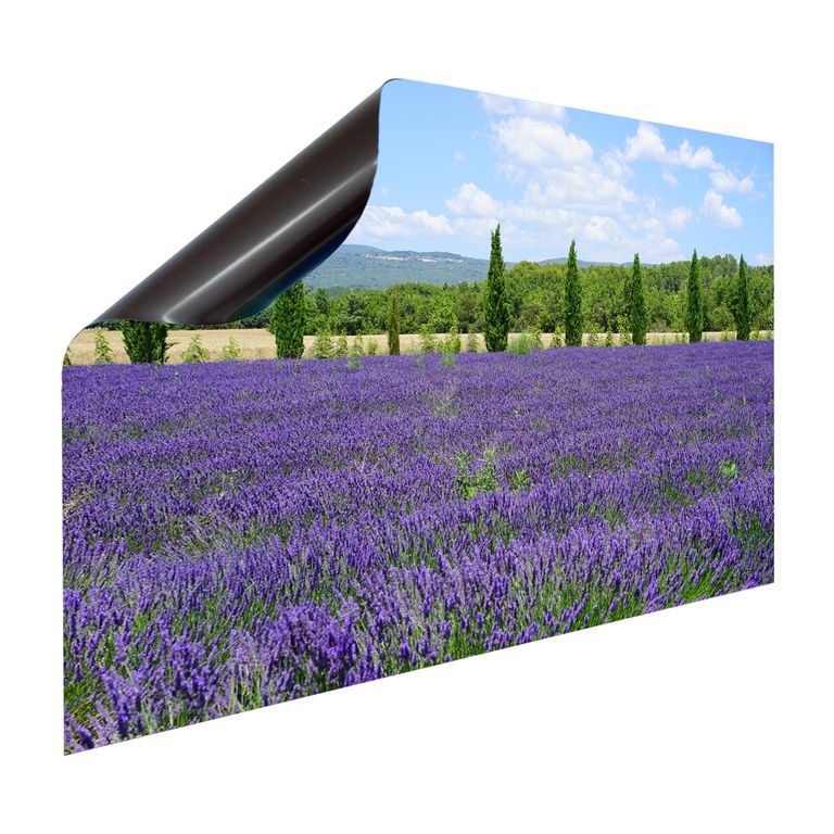 Magnet Heizkörperverkleidung Heizkörperabdeckung Heizung Schutz Motiv Lavendelblüten