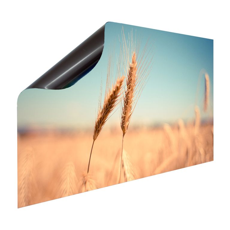Magnet Heizkörperverkleidung Heizkörperabdeckung Heizung Schutz Motiv Wheat