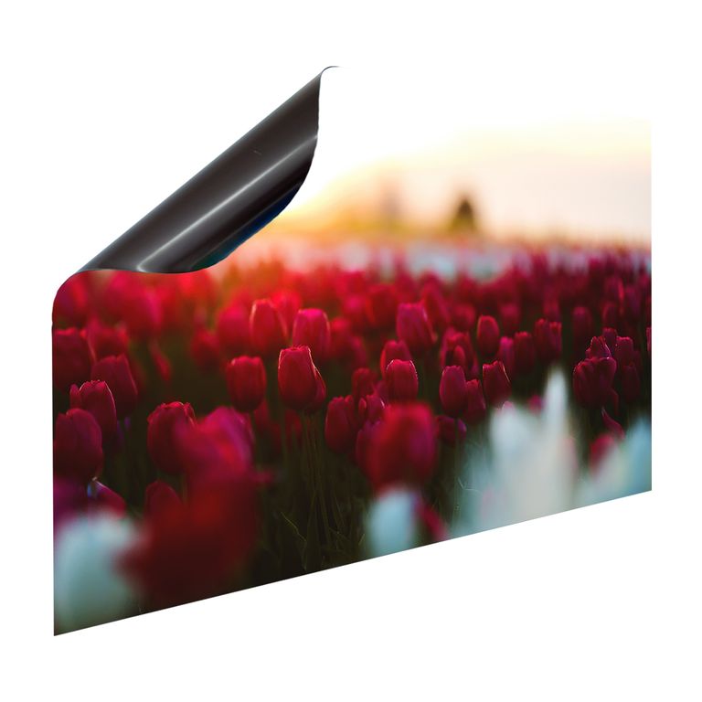 Magnet Heizkörperverkleidung Heizkörperabdeckung Heizkörper - Motiv Tulpenmeer