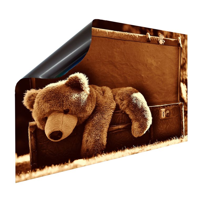 Magnet Heizkörperverkleidung Heizkörperabdeckung Heizung Motiv Teddy auf Reisen