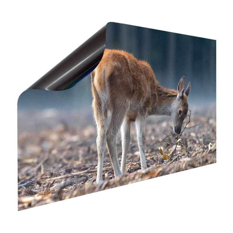 Magnet Heizkörperverkleidung Heizkörperabdeckung Heizung Motiv Rehkitz