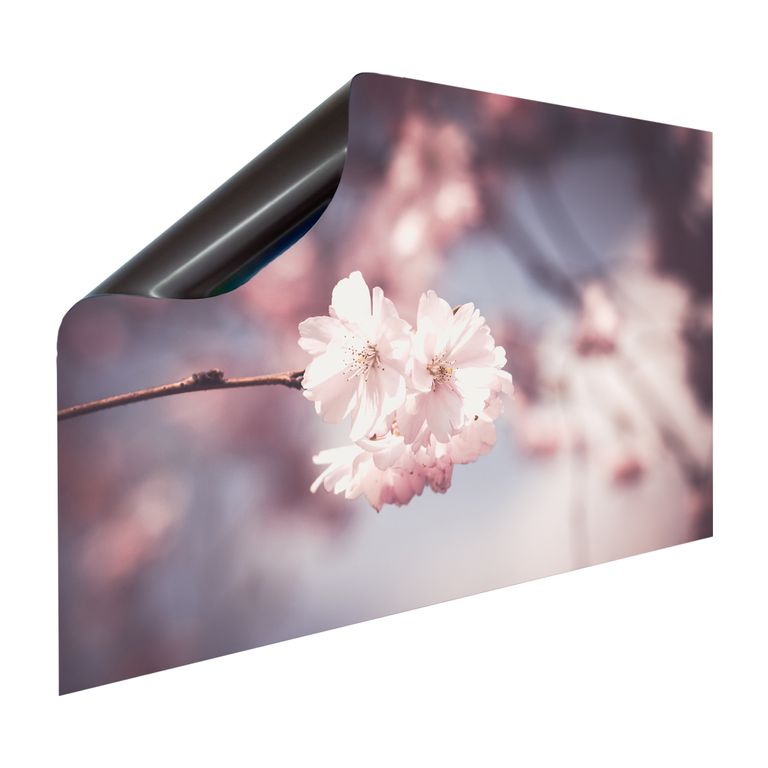 Magnet Heizkörperverkleidung Heizkörperabdeckung Heizung Schutz Motiv Rosa