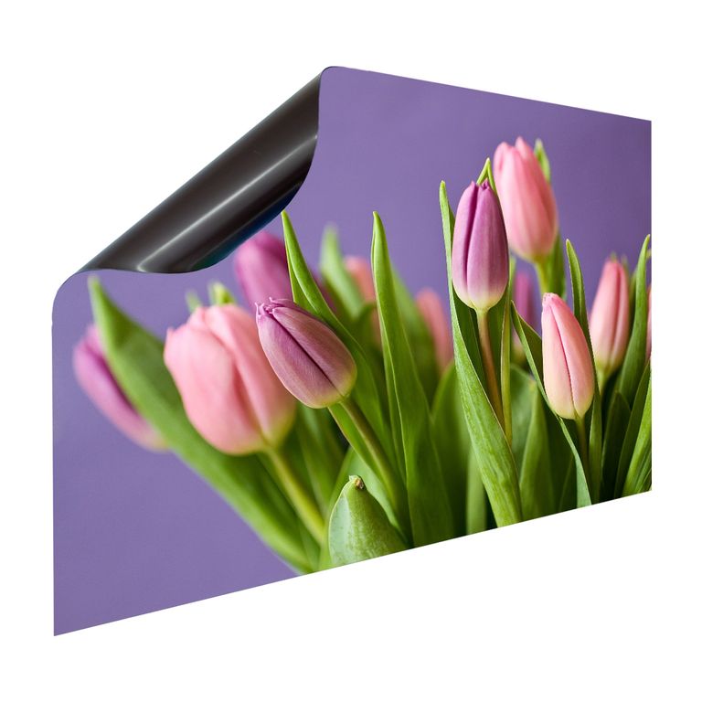Magnet Heizkörperverkleidung Heizkörperabdeckung Heizung Motiv Tulpenstrauß