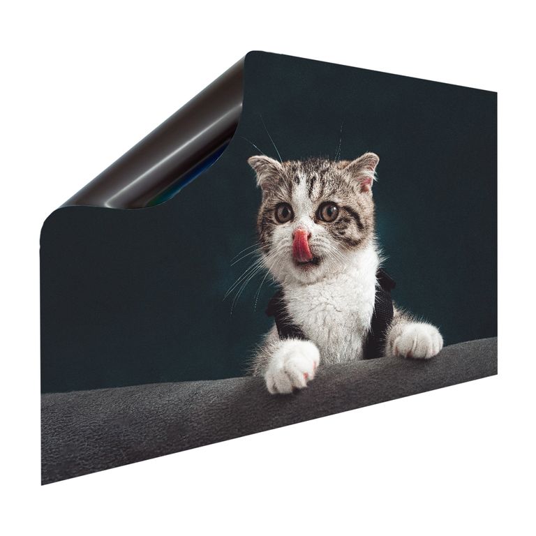 Magnet Heizkörperverkleidung Heizkörperabdeckung Heizkörper - Motiv Miezekatze