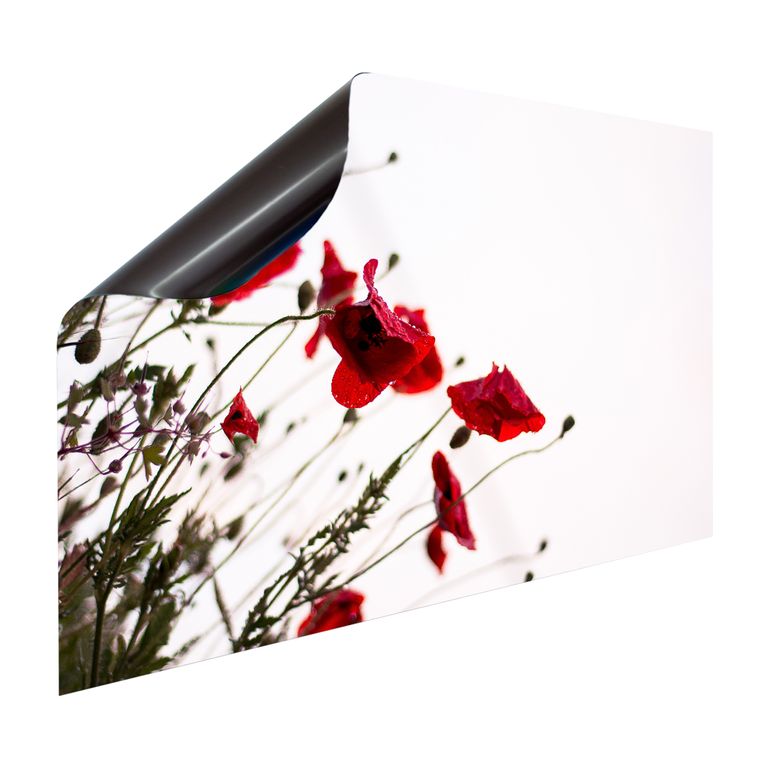 Magnet Heizkörperverkleidung Heizkörperabdeckung Heizkörper - Motiv Wildblumen