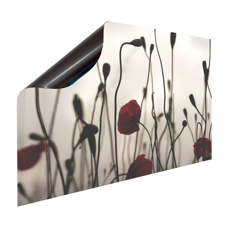 Magnet Heizkörperverkleidung Heizkörperabdeckung Heizung Schutz Motiv Mohn