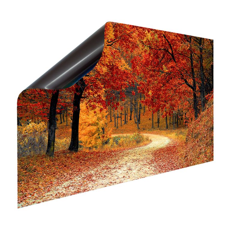 Magnet Heizkörperverkleidung Heizkörperabdeckung Heizung Schutz Motiv Herbst