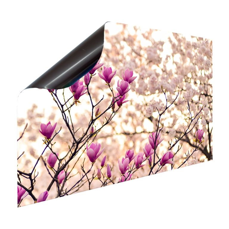 Magnet Heizkörperverkleidung Heizkörperabdeckung Heizung Schutz Motiv Magnolia
