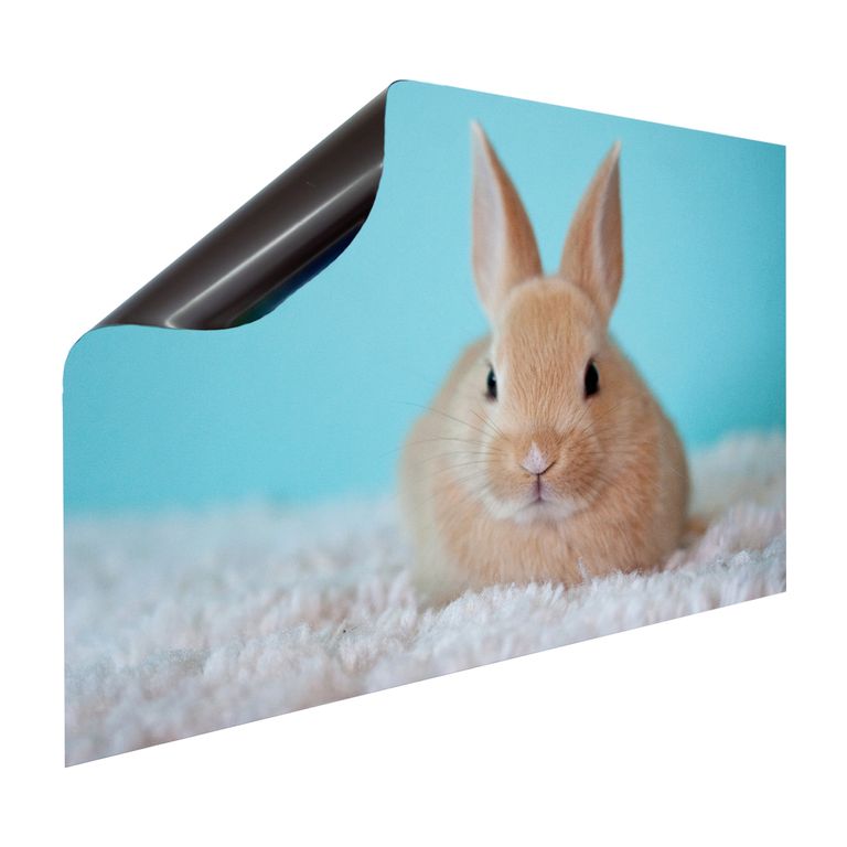Magnet Heizkörperverkleidung Heizkörperabdeckung Heizung Schutz Motiv Osterhase