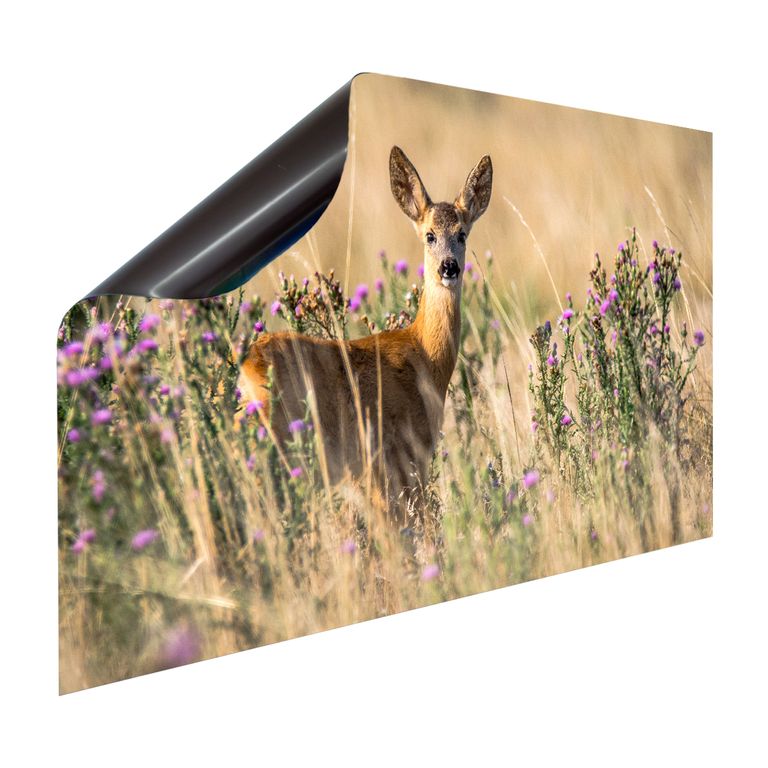 Magnet Heizkörperverkleidung Heizkörperabdeckung Heizung Schutz Motiv Bambi