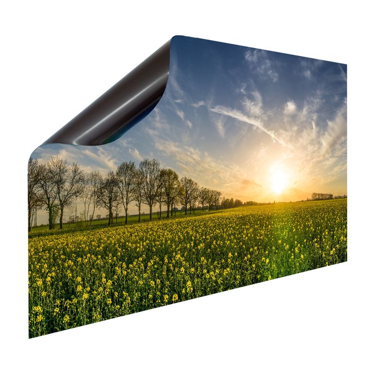 Magnet Heizkörperverkleidung Heizkörperabdeckung Heizung Motiv Rapsfeld