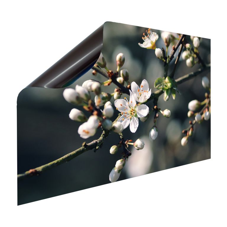 Magnet Heizkörperverkleidung Heizkörperabdeckung Heizung Motiv Schwarzdorn