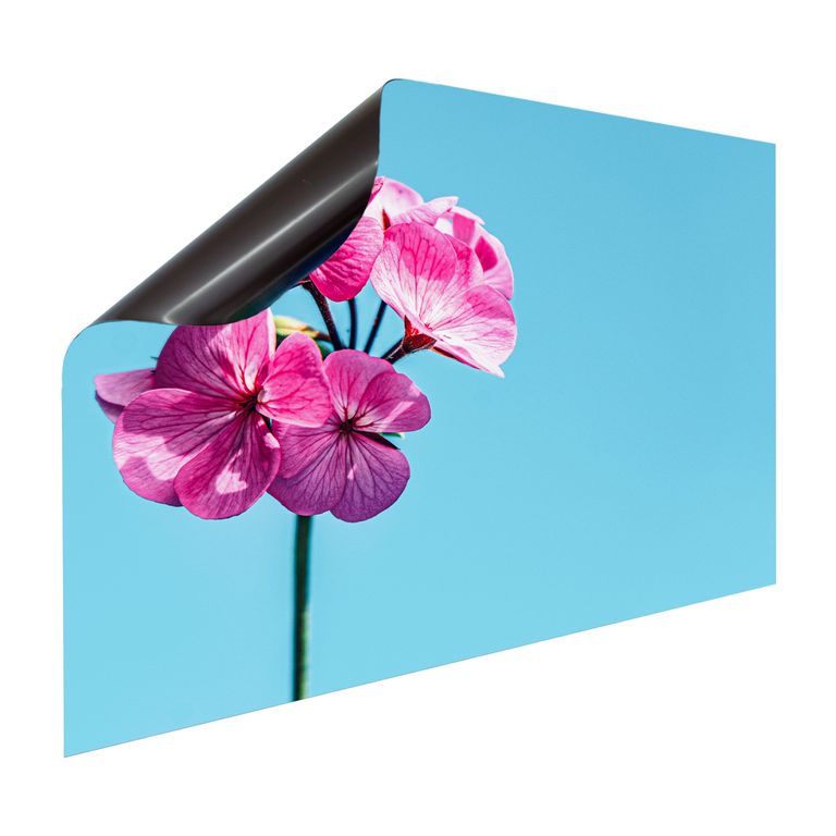 Magnet Heizkörperverkleidung Heizkörperabdeckung Heizkörper - Motiv Flower