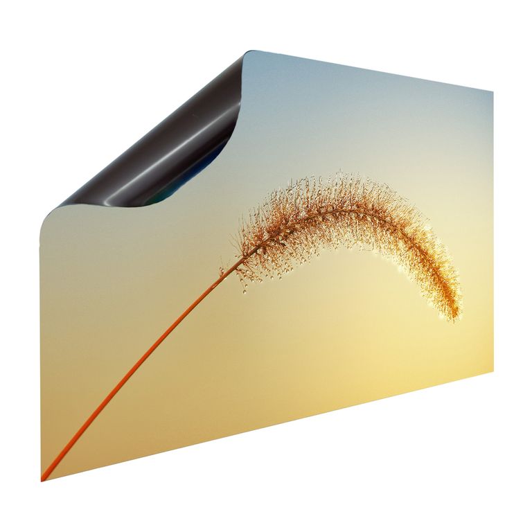 Magnet Heizkörperverkleidung Heizkörperabdeckung Heizung Schutz Motiv Wonderful