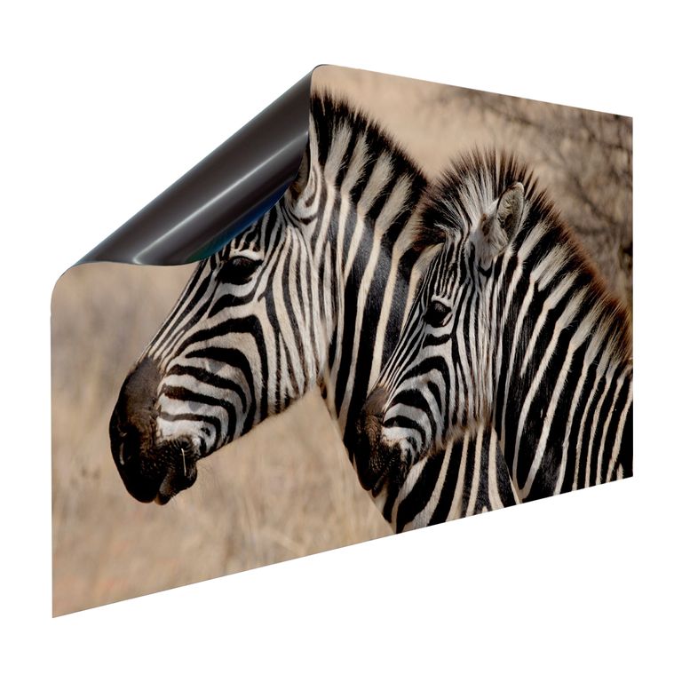 Magnet Heizkörperverkleidung Heizkörperabdeckung Heizung Schutz Motiv Zebra