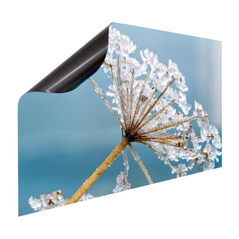 Magnet Heizkörperverkleidung Heizkörperabdeckung Heizung Schutz Motiv Meadow