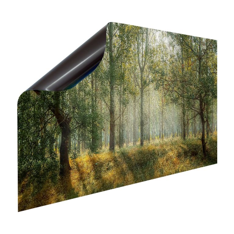 Magnet Heizkörperverkleidung Heizkörperabdeckung Heizkörper - Motiv Paradies Wald