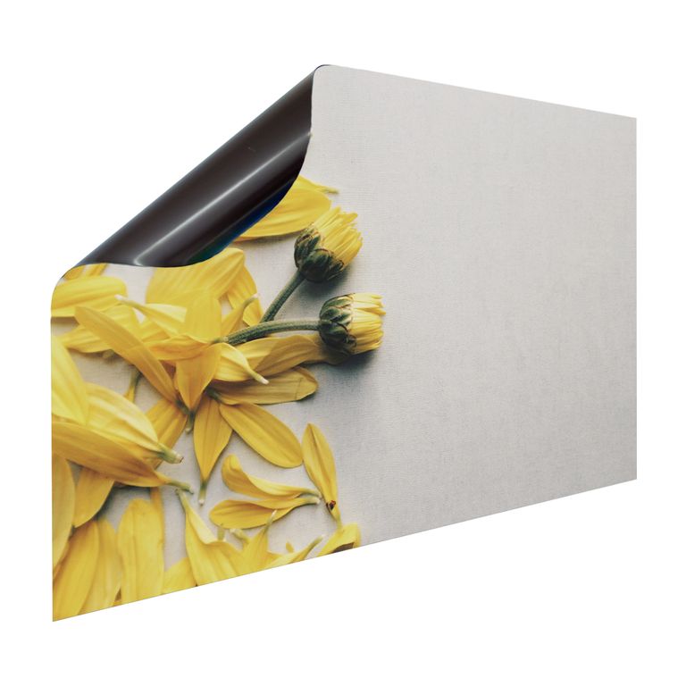 Magnet Heizkörperverkleidung Heizkörperabdeckung Heizung Schutz Motiv Yellow Flower