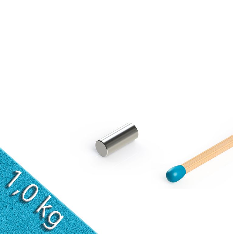 Stabmagnet Ø 5,0 x 12,5 mm N45 Nickel - hält 1 kg