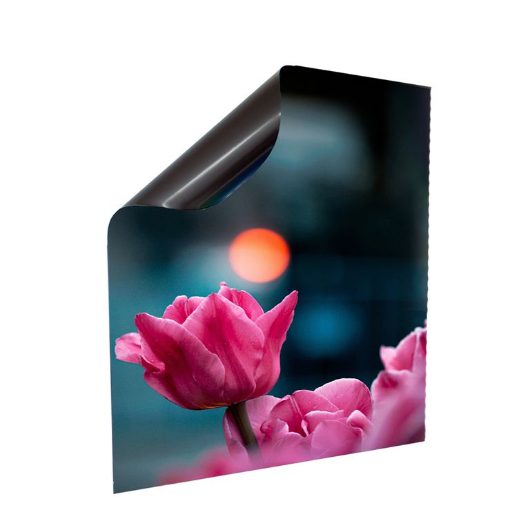 Stromkasten Magnet Bild Deko Stromverteiler Sicherungskasten Motiv Pinke Tulpe