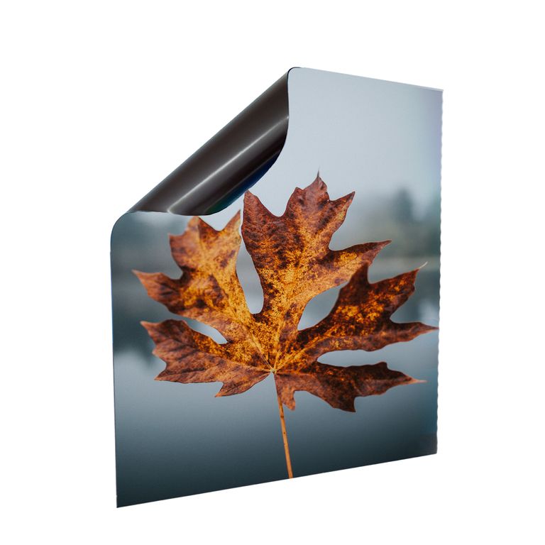 Stromkasten Magnet Bild Deko Stromverteiler Sicherungskasten Motiv Blatt
