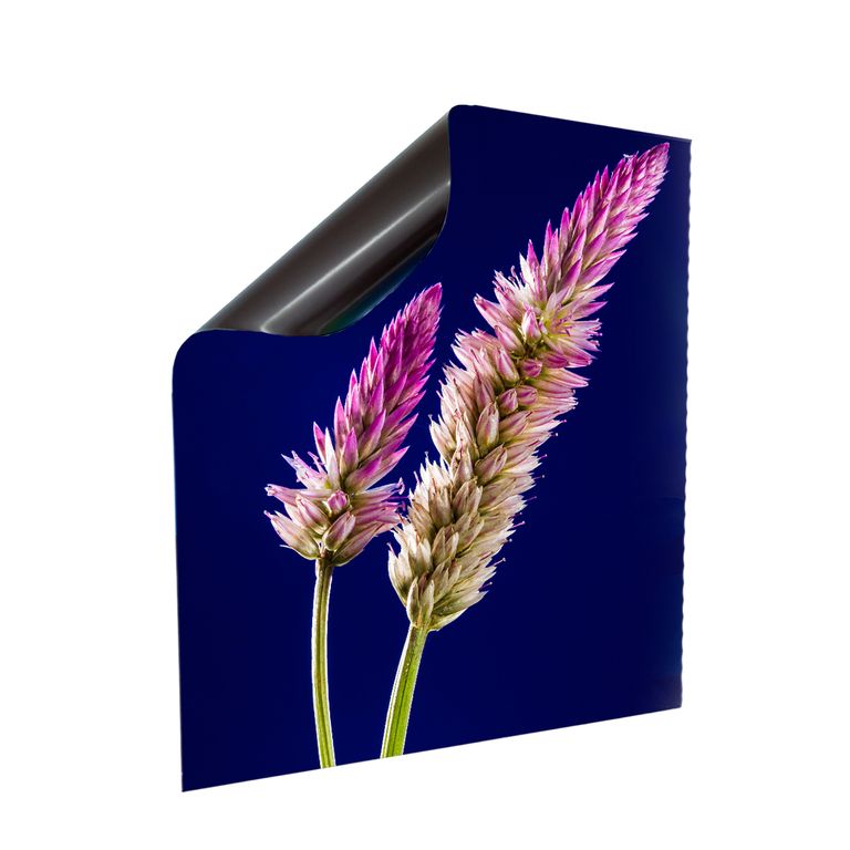 Stromkasten Magnet Bild Deko Stromverteiler Sicherungskasten Motiv Flowers