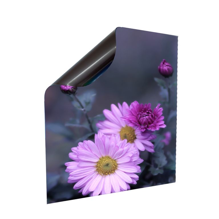 Stromkasten Magnet Bild Deko Stromverteiler Sicherungskasten Motiv Herbstastern