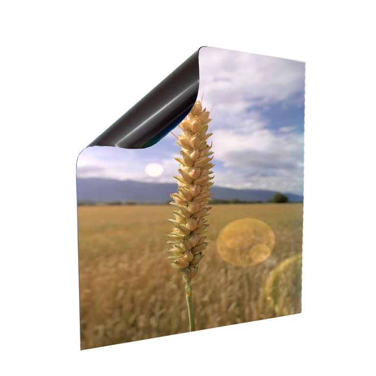 Stromkasten Magnet Bild Deko Stromverteiler Sicherungskasten Motiv Weizenkorn