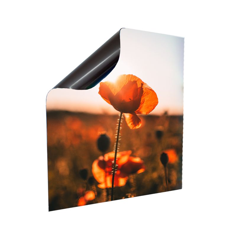 Stromkasten Magnet Bild Deko Stromverteiler Sicherungskasten Motiv Mohn