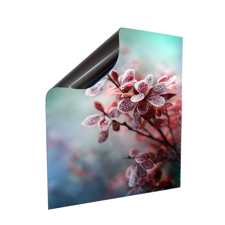 Stromkasten Magnet Bild Deko Stromverteiler Sicherungskasten Motiv Barberry