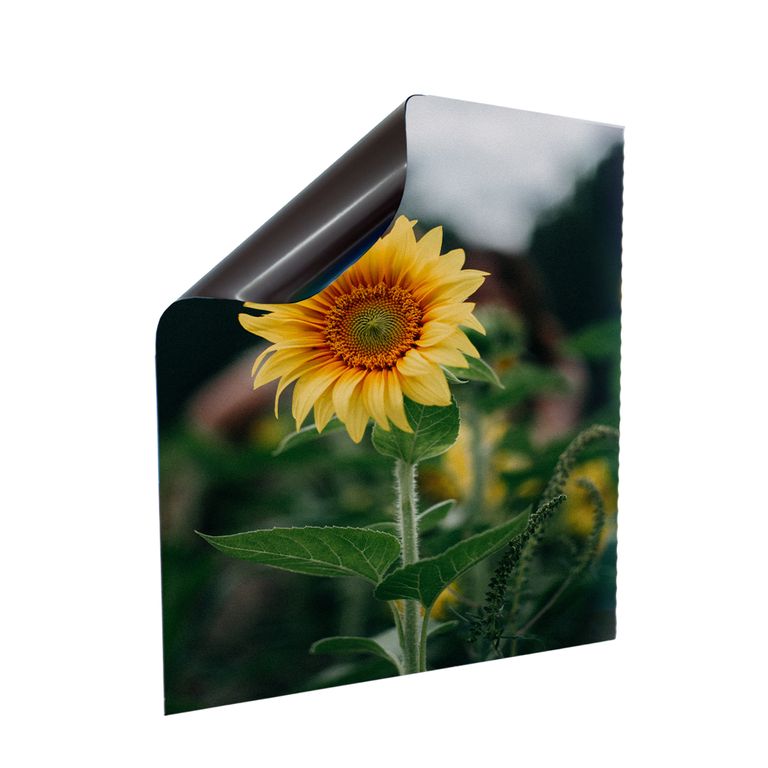Stromkasten Magnet Bild Deko Stromverteiler Sicherungskasten Motiv Sonnenblume
