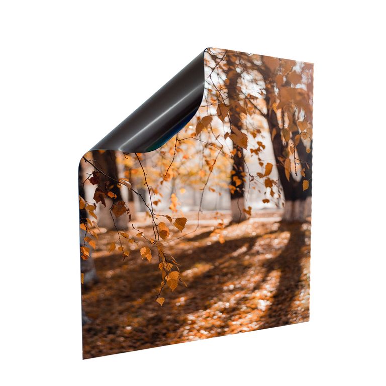 Stromkasten Magnet Bild Deko Stromverteiler Sicherungskasten Motiv Herbst