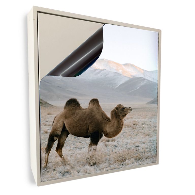 Stromkasten Magnet Bild Deko Stromverteiler Sicherungskasten Motiv Kamel