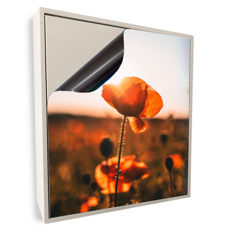 Stromkasten Magnet Bild Deko Stromverteiler Sicherungskasten Motiv Mohn