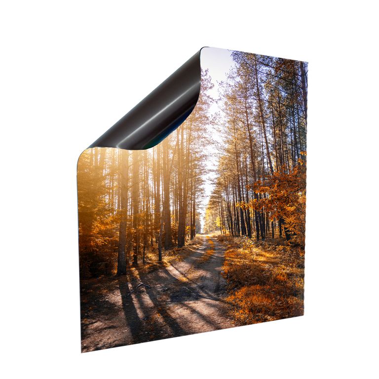 Stromkasten Magnet Bild Deko Stromverteiler Sicherungskasten Motiv Wald