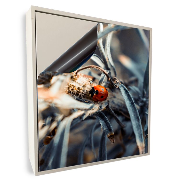 Stromkasten Magnet Bild Deko Stromverteiler Sicherungskasten Motiv Marienkäfer