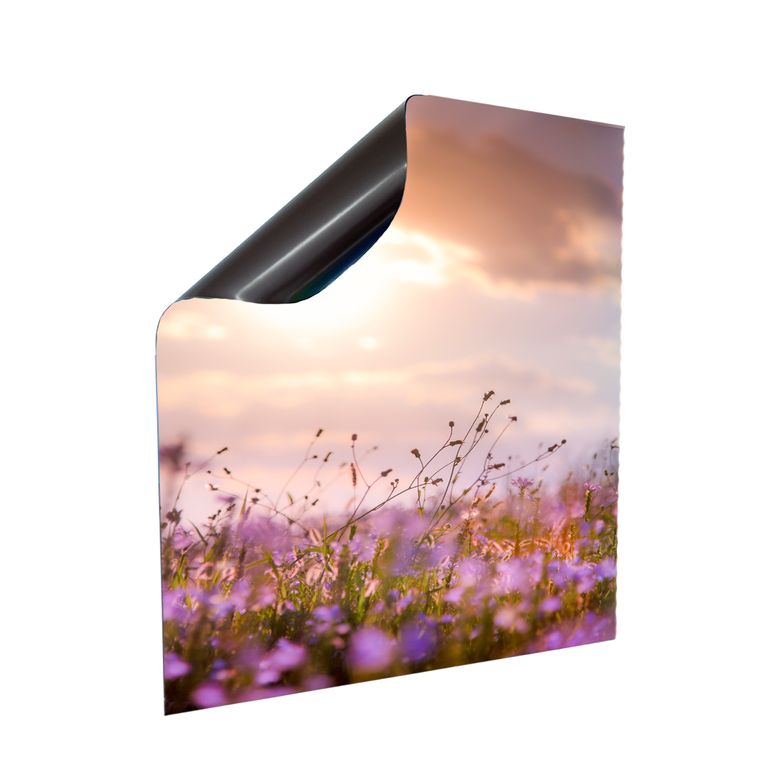 Stromkasten Magnet Bild Deko Stromverteiler Sicherungskasten Motiv Frühlingsduft