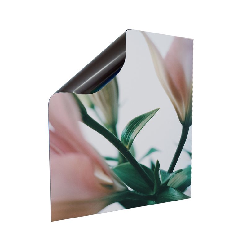Stromkasten Magnet Bild Deko Stromverteiler Sicherungskasten Motiv Eleganz