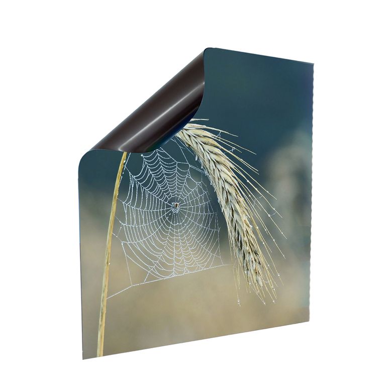 Stromkasten Magnet Bild Deko Stromverteiler Sicherungskasten Motiv Spinnennetz