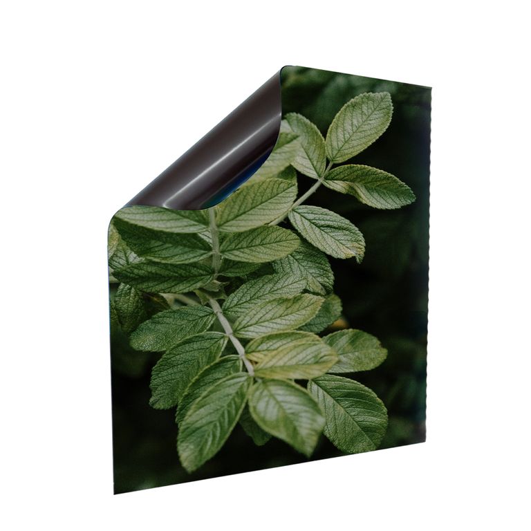 Stromkasten Magnet Bild Deko Stromverteiler Sicherungskasten Motiv Minze
