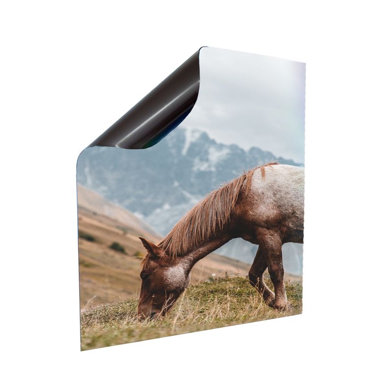 Stromkasten Magnet Bild Deko Stromverteiler Sicherungskasten Motiv Horse